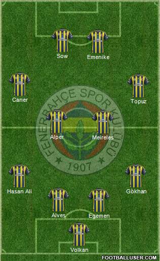 Fenerbahçe SK Formation 2013