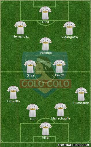 CSD Colo Colo Formation 2013
