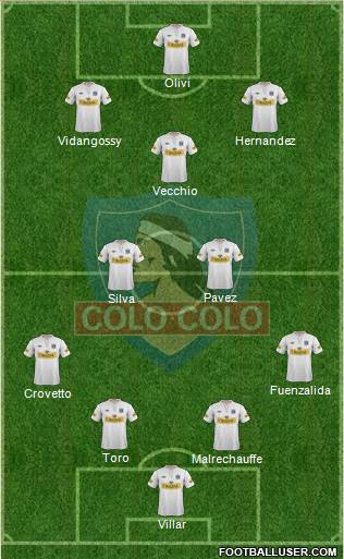 CSD Colo Colo Formation 2013