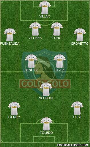 CSD Colo Colo Formation 2013