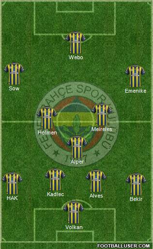 Fenerbahçe SK Formation 2013