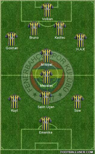Fenerbahçe SK Formation 2013