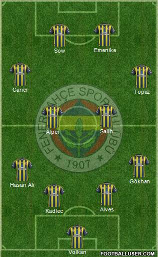 Fenerbahçe SK Formation 2013