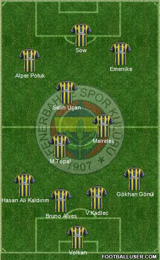 Fenerbahçe SK Formation 2013
