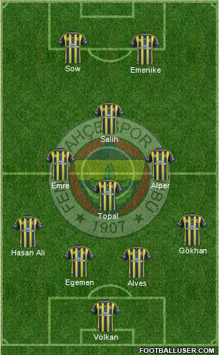 Fenerbahçe SK Formation 2013