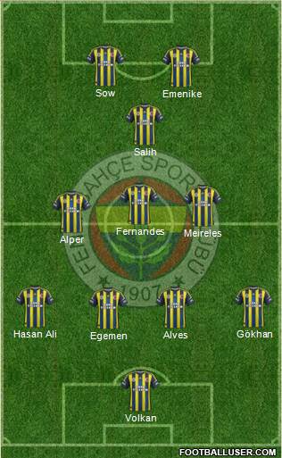 Fenerbahçe SK Formation 2013