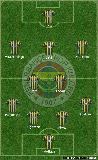 Fenerbahçe SK Formation 2013