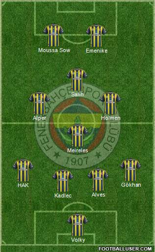 Fenerbahçe SK Formation 2013