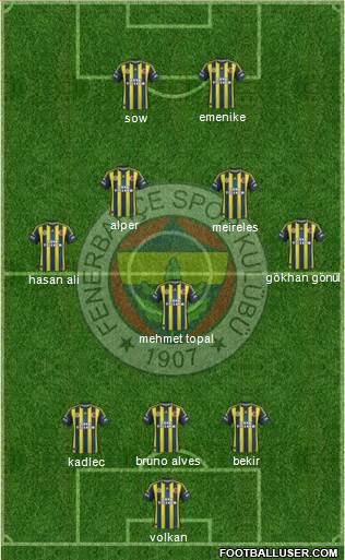 Fenerbahçe SK Formation 2013