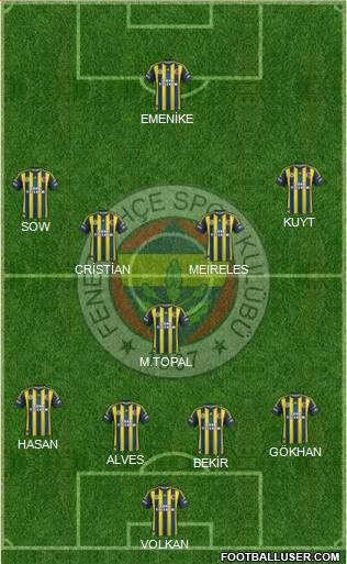 Fenerbahçe SK Formation 2013
