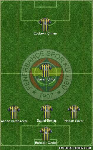 Fenerbahçe SK Formation 2013