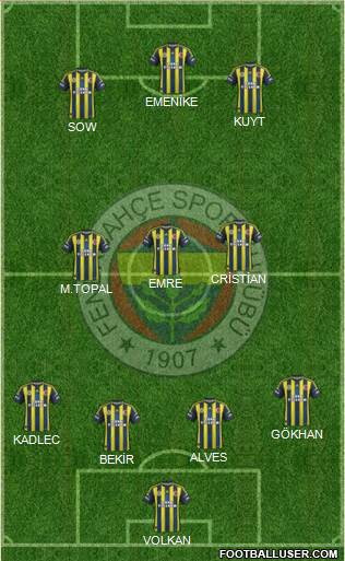 Fenerbahçe SK Formation 2013