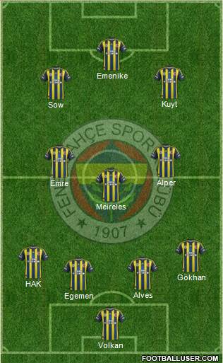 Fenerbahçe SK Formation 2013