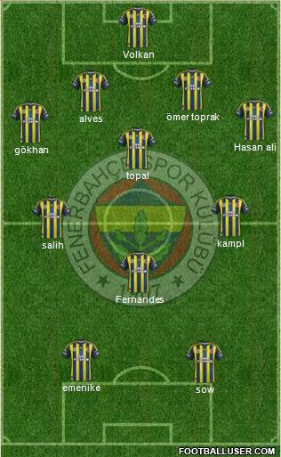Fenerbahçe SK Formation 2013