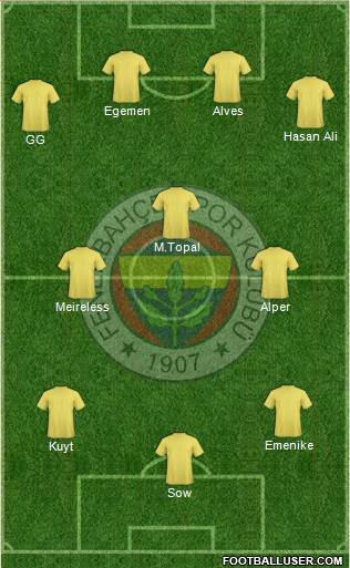 Fenerbahçe SK Formation 2013