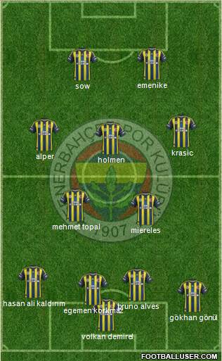 Fenerbahçe SK Formation 2013