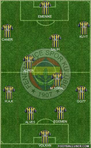 Fenerbahçe SK Formation 2013
