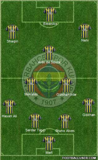 Fenerbahçe SK Formation 2013