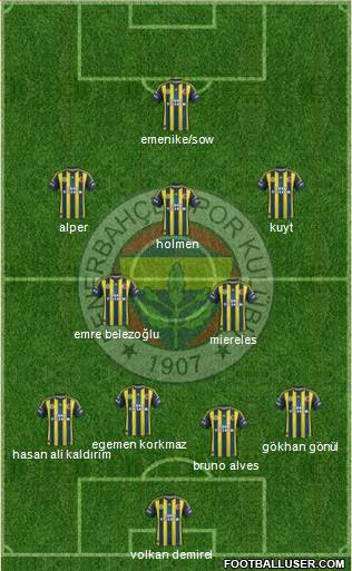 Fenerbahçe SK Formation 2013