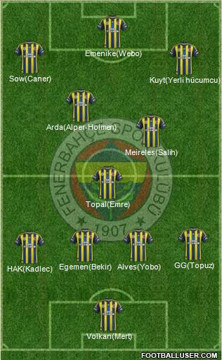 Fenerbahçe SK Formation 2013