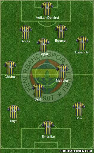 Fenerbahçe SK Formation 2013