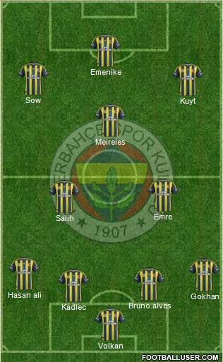 Fenerbahçe SK Formation 2013