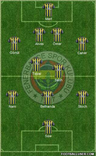 Fenerbahçe SK Formation 2013