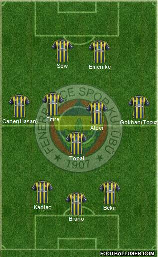 Fenerbahçe SK Formation 2013