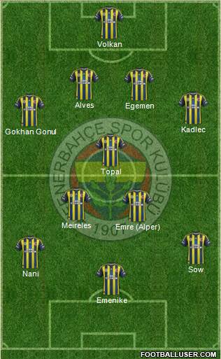 Fenerbahçe SK Formation 2013