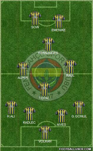 Fenerbahçe SK Formation 2013