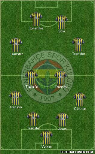 Fenerbahçe SK Formation 2013