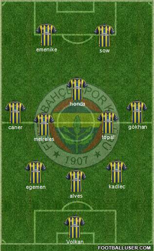 Fenerbahçe SK Formation 2013
