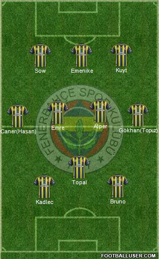 Fenerbahçe SK Formation 2013