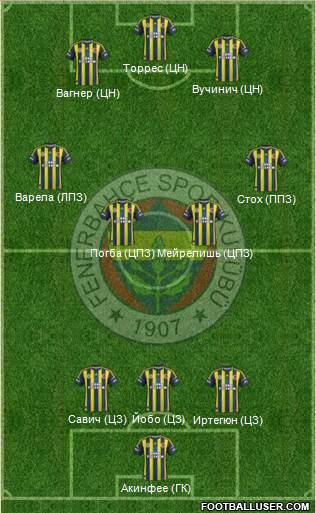 Fenerbahçe SK Formation 2013