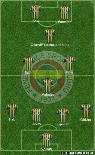 Fenerbahçe SK Formation 2013