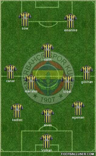 Fenerbahçe SK Formation 2013