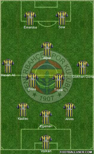 Fenerbahçe SK Formation 2013