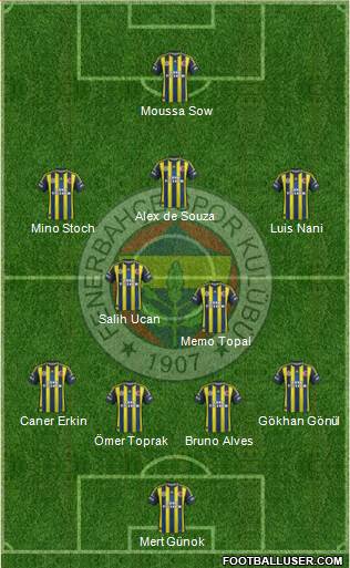 Fenerbahçe SK Formation 2013