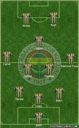 Fenerbahçe SK Formation 2013