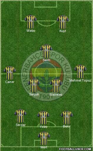 Fenerbahçe SK Formation 2013