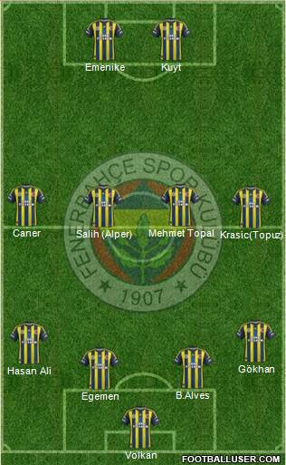 Fenerbahçe SK Formation 2013