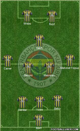 Fenerbahçe SK Formation 2013