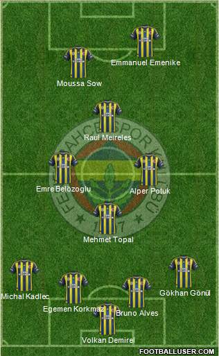 Fenerbahçe SK Formation 2013