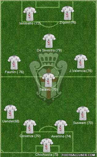 Pro Vercelli Formation 2013