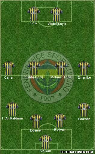 Fenerbahçe SK Formation 2013