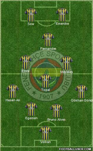 Fenerbahçe SK Formation 2013