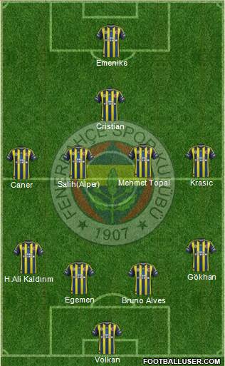 Fenerbahçe SK Formation 2013