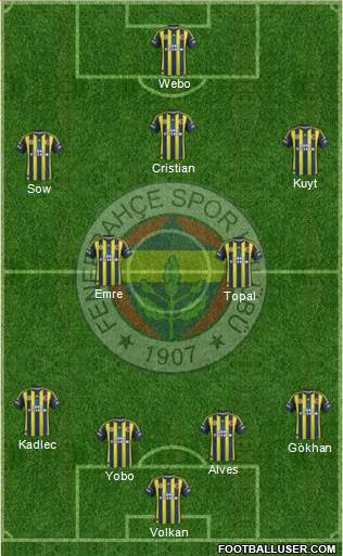 Fenerbahçe SK Formation 2013