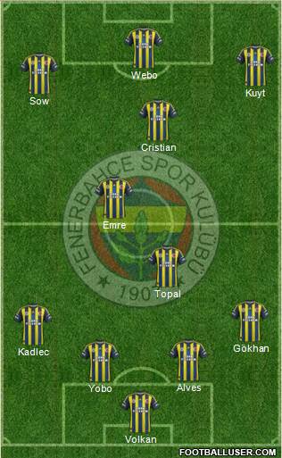 Fenerbahçe SK Formation 2013