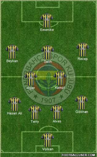 Fenerbahçe SK Formation 2013